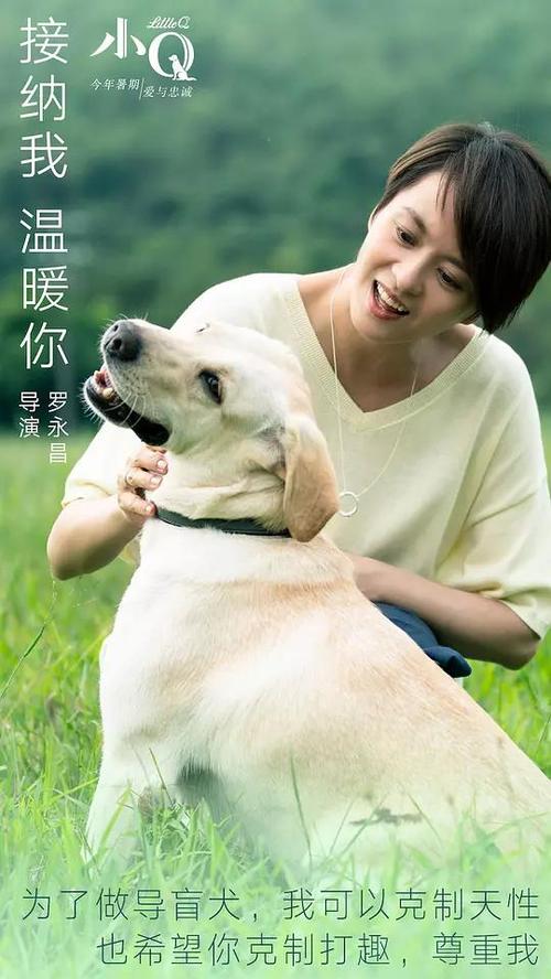 买个假的造价员证